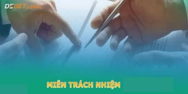 Tổng hợp chính sách miễn trừ trách nhiệm Debet 1 Chính sách miễn phí bao gồm nhiều điều khoản
