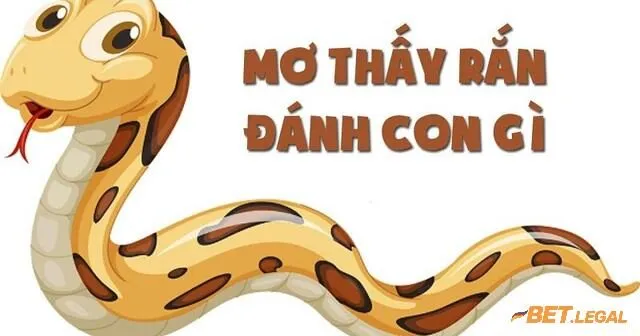 Giải đáp mơ thấy rắn đánh số gì may mắn? Lành hay dữ? 4 Bật mí chi tiết các số lô may mắn khi thấy rắn