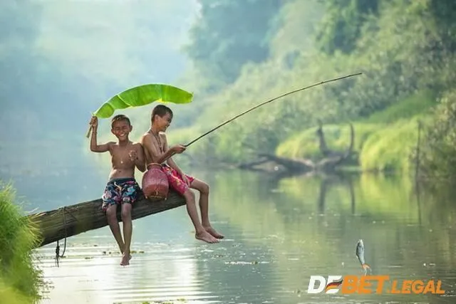 Khám phá mơ thấy cá điềm gì? Đánh số nào? 4 Chiêm bao thấy đi câu cá